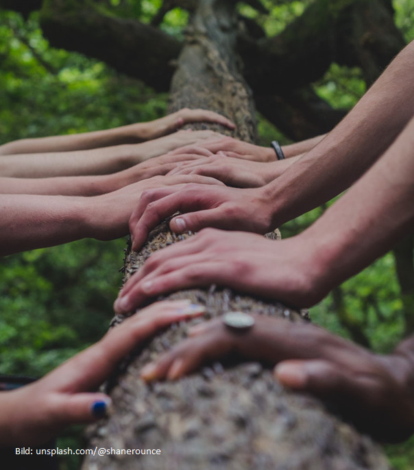 Nahaufnahme von den Händen mehrerer Personen unterschiedlicher Hautfarbe, die symbolisch für Teamarbeit und Zusammenhalt hintereinander auf einem moosigen Baumstamm im Wald liegen.